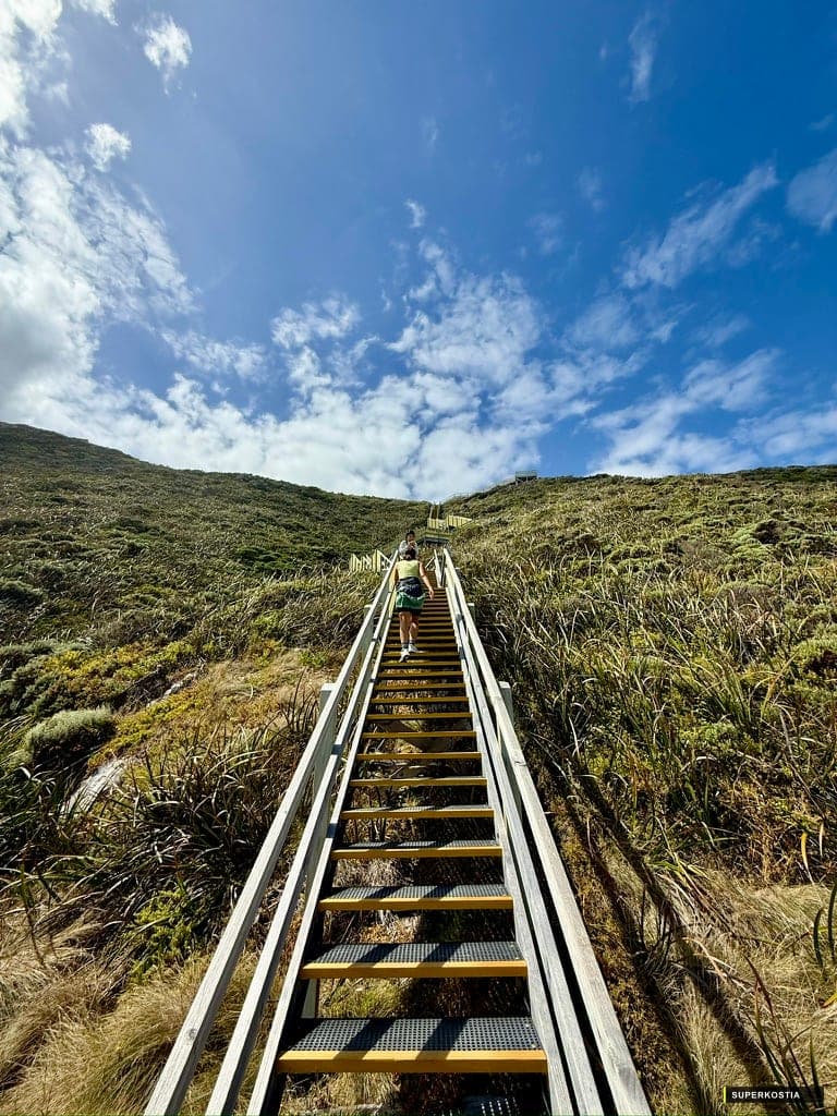 Escalier Bush Hauteur