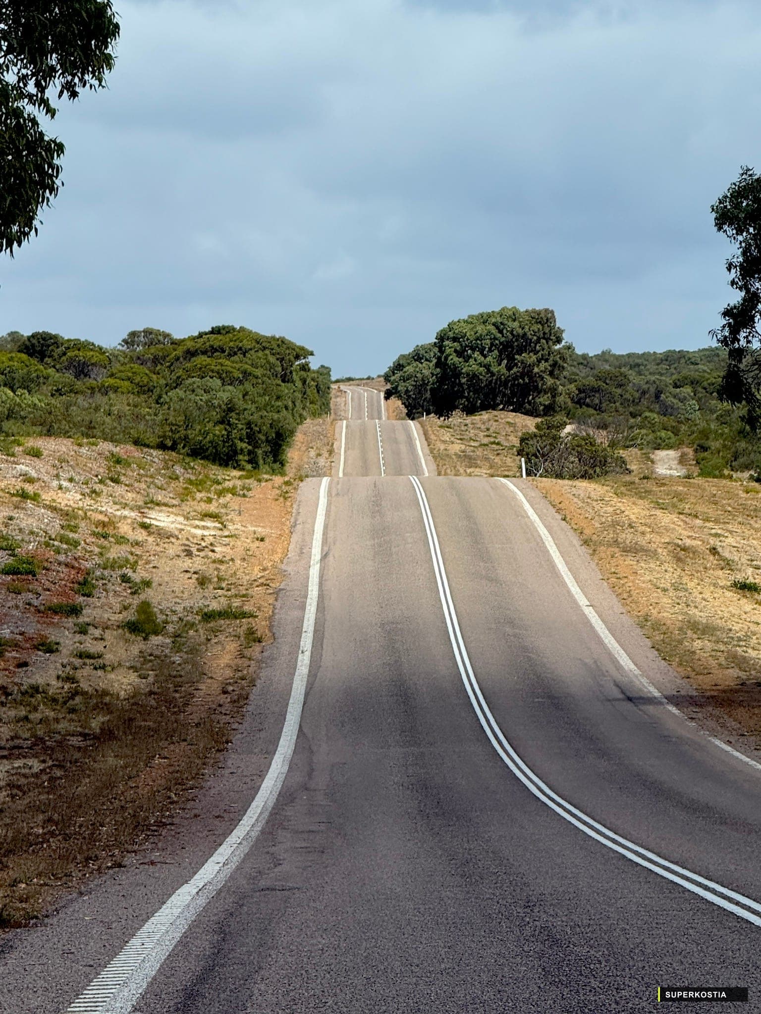 Route Bush Horizon Gris