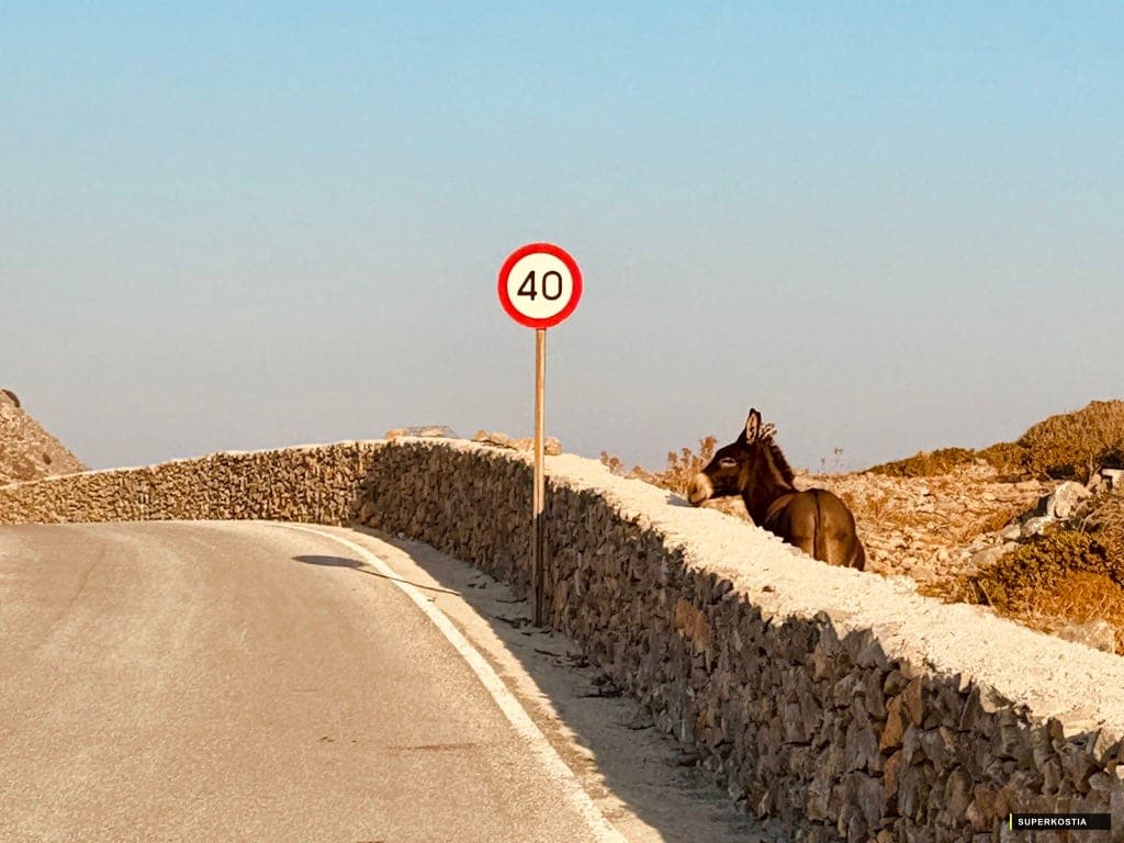 Ane Mur Pierre Patmos
