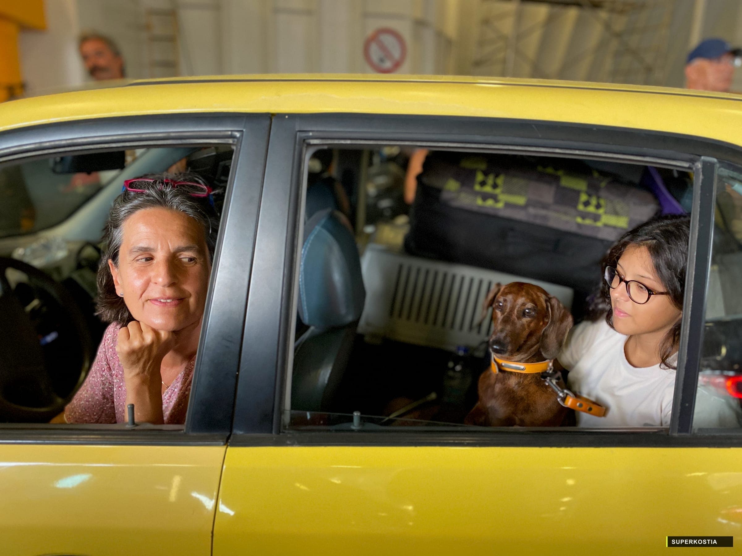 Ferry Voiture Jaune Teckel